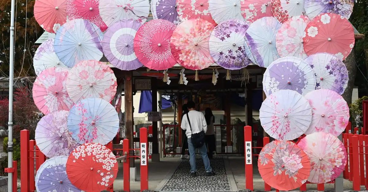 喜寿祝いに紫色の花と実用品を家族で選ぶ場面