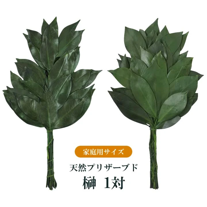 家庭用プリザーブド榊1対
